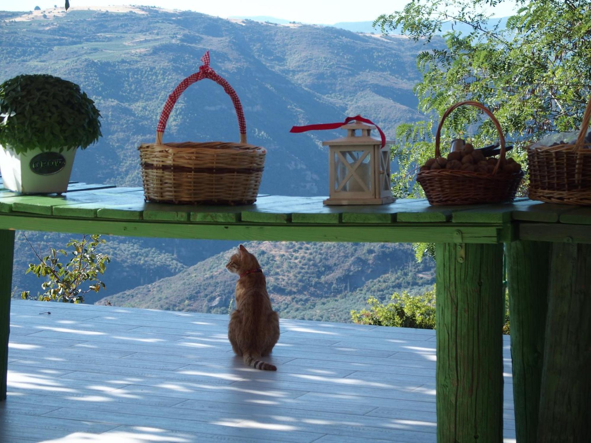 Ktima Noosfera Wellness & Retreat Center Otel Karya Dış mekan fotoğraf
