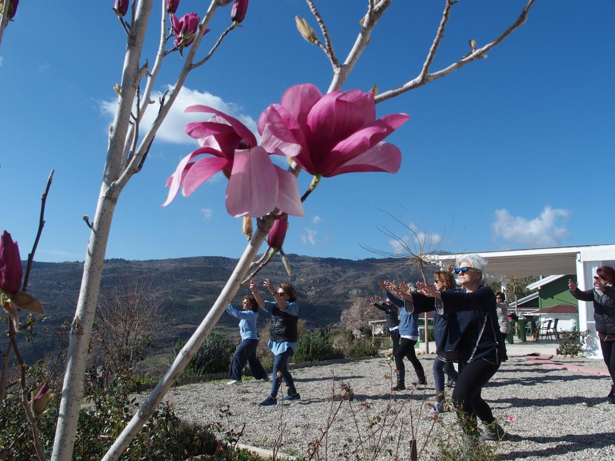 Ktima Noosfera Wellness & Retreat Center Otel Karya Dış mekan fotoğraf
