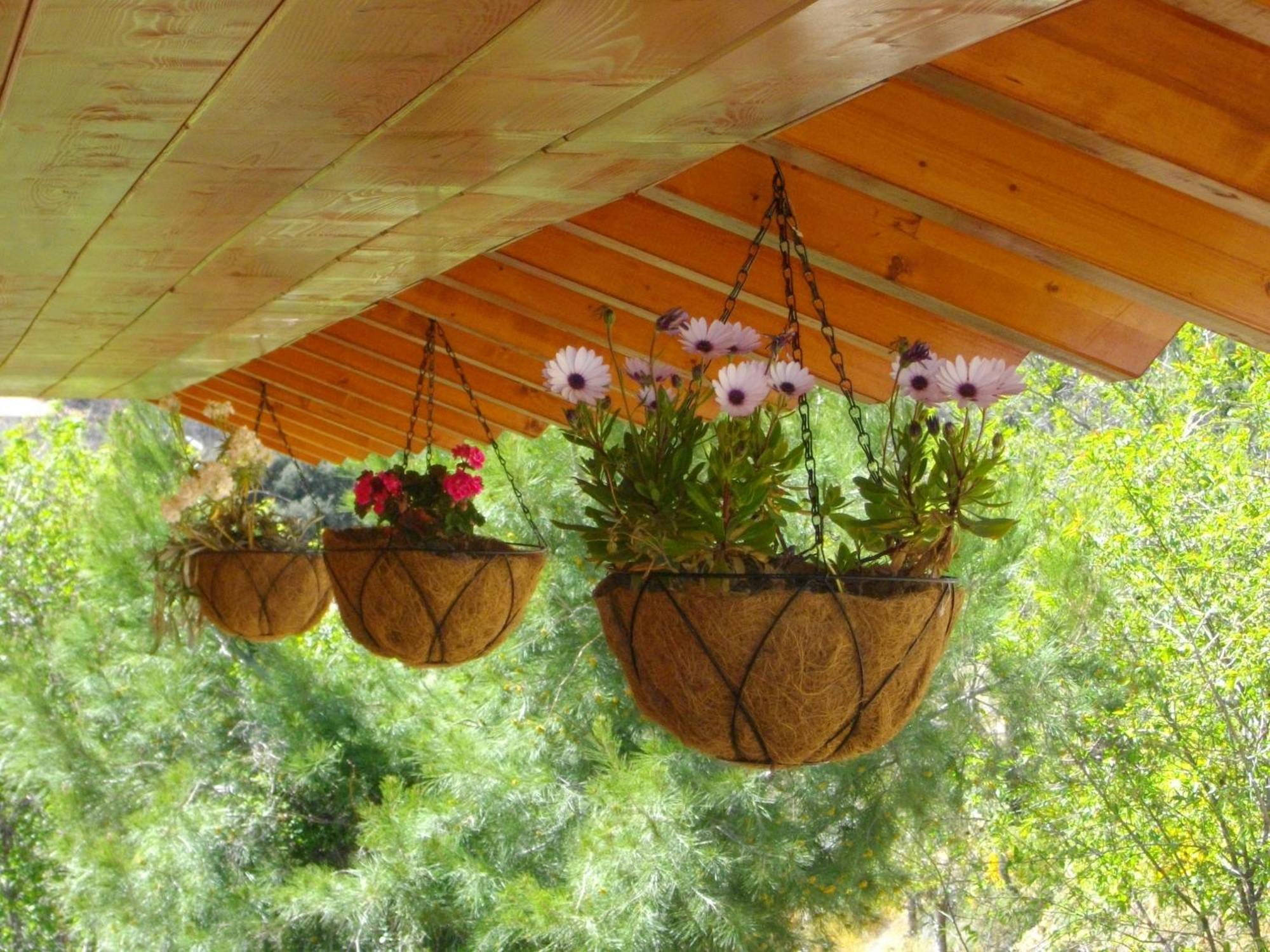 Ktima Noosfera Wellness & Retreat Center Otel Karya Dış mekan fotoğraf